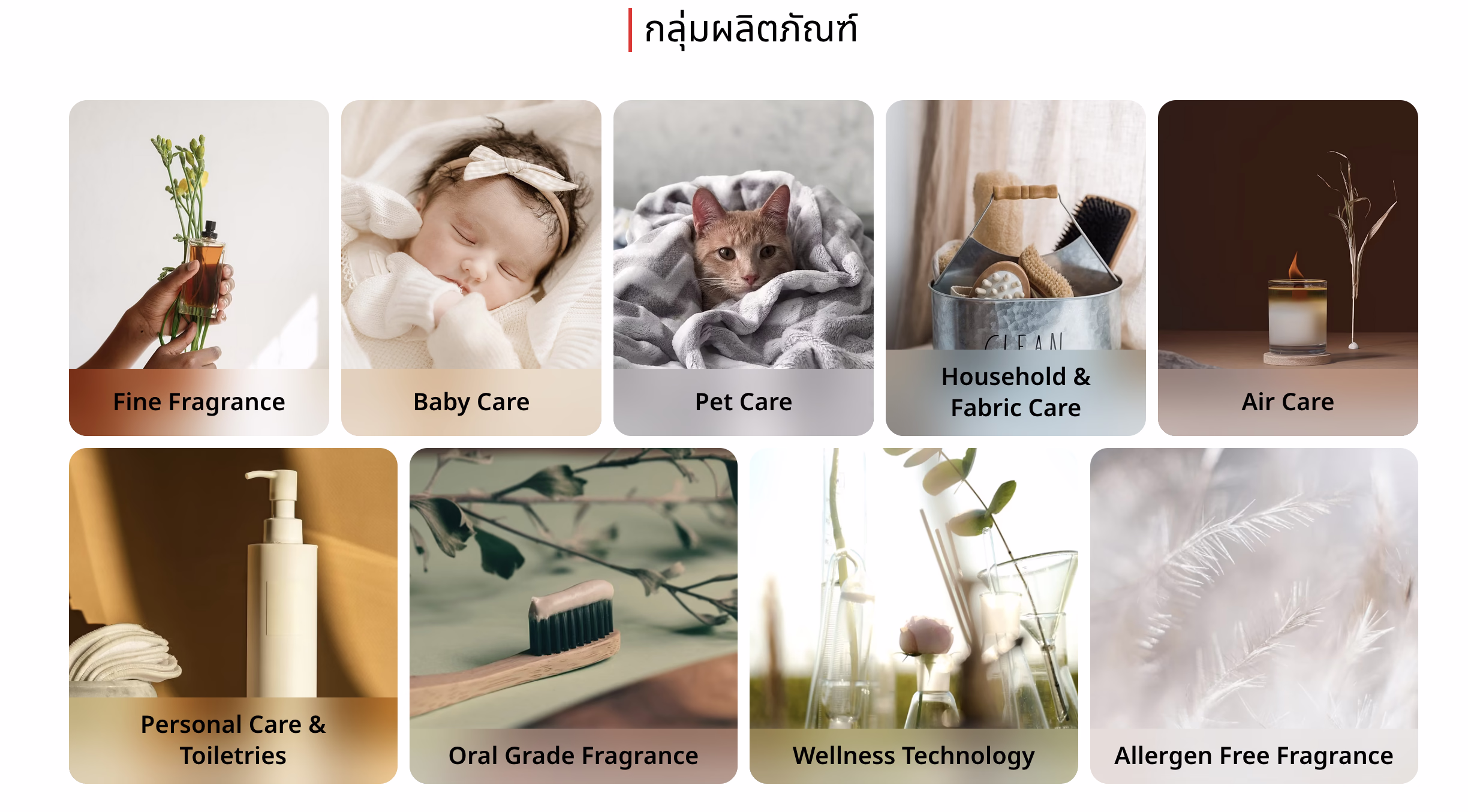 Product range system